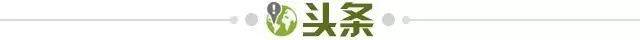 1722705184023086742.jpg 头条.jpg